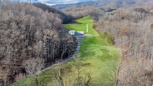 drone / aerial view with a mountain view