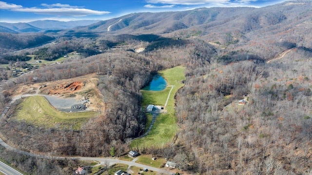 birds eye view of property featuring a water and mountain view