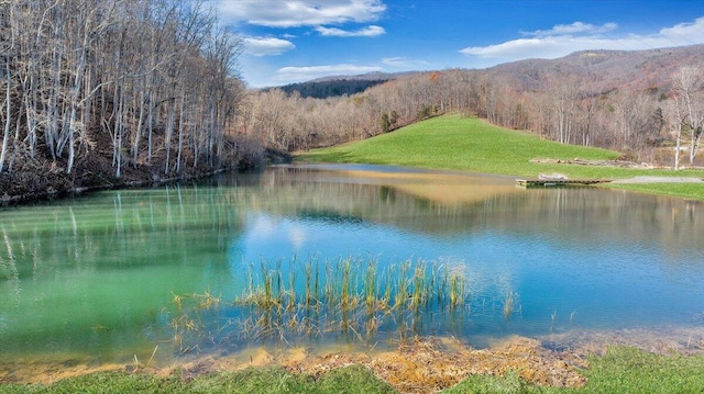 water view featuring a mountain view