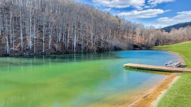 view of dock with a water view