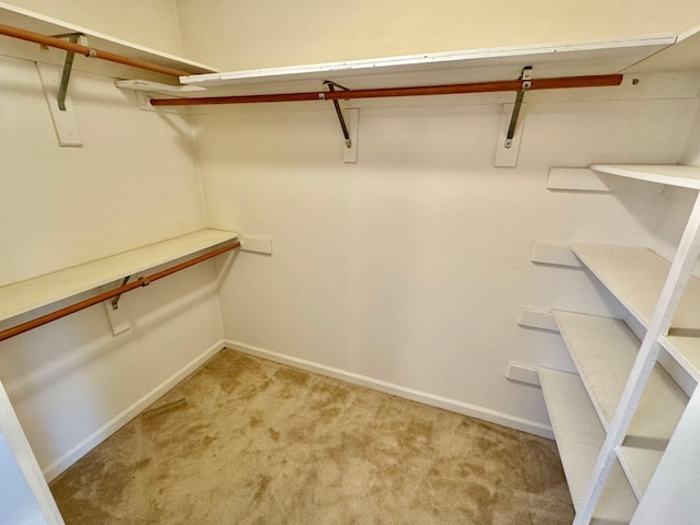 spacious closet with light carpet