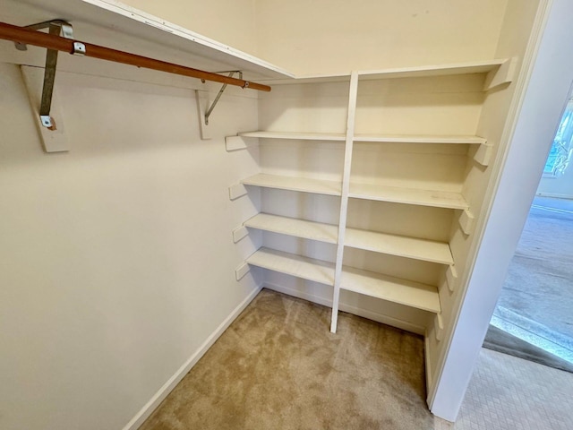 walk in closet with light carpet