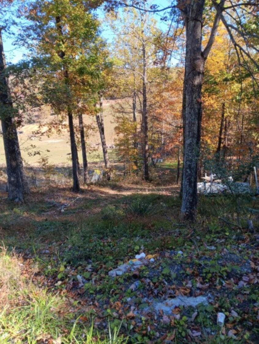 7829 Bending Oak Dr, Catawba, VA 24070 - view of undeveloped land