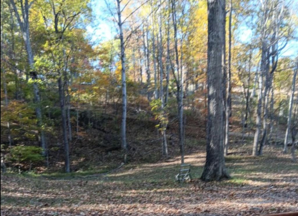 7829 Bending Oak Dr, Catawba, VA 24070 - view of yard featuring a forest view