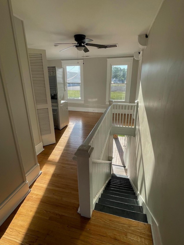 stairway with ceiling fan and wood-type flooring