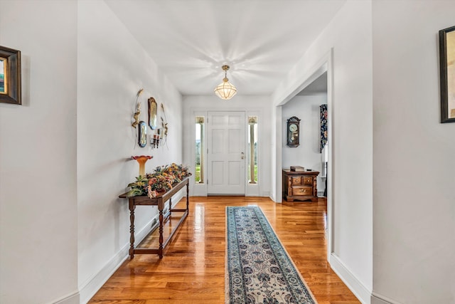 foyer entrance with light hardwood / wood-style floors