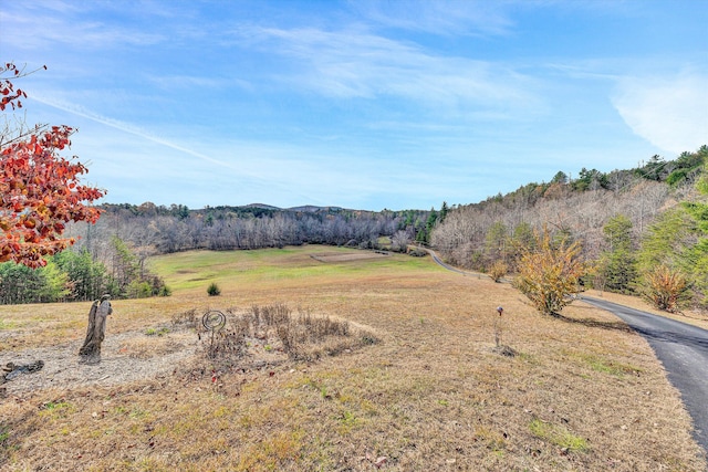 view of yard featuring a rural view