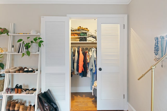 view of closet