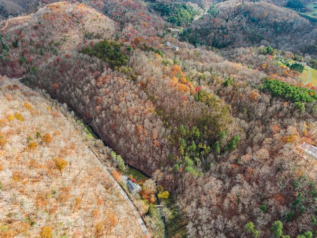 view of mountain feature