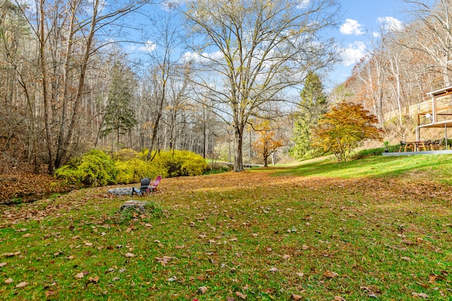 view of yard