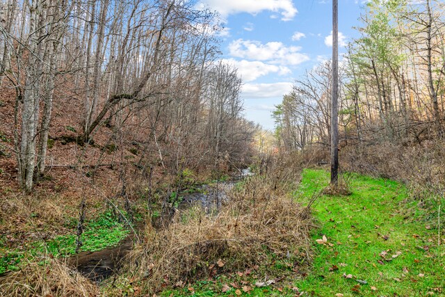 view of local wilderness