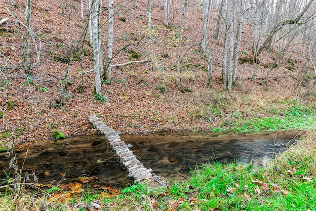 view of landscape