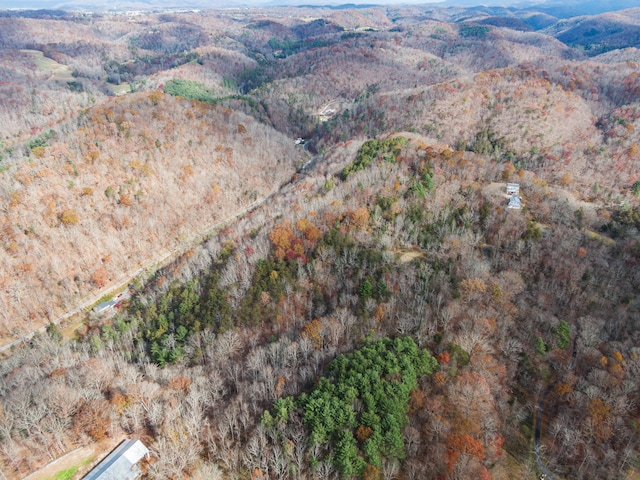 bird's eye view featuring a mountain view