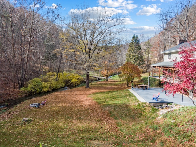 view of yard featuring a patio