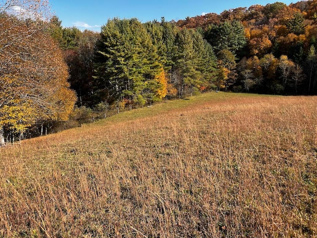 view of local wilderness