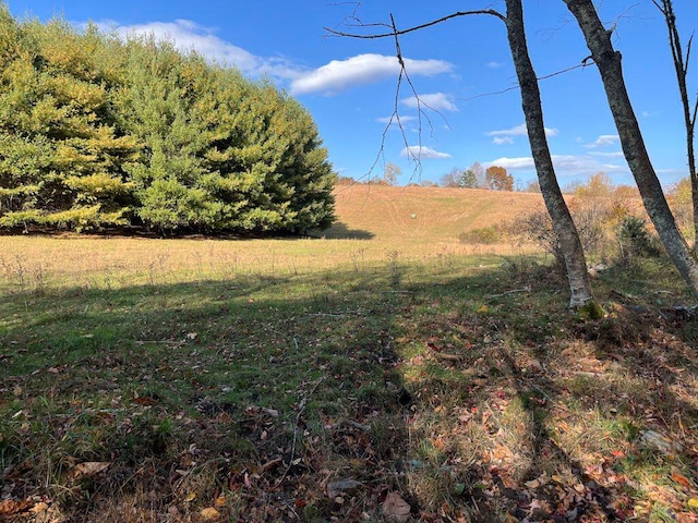 view of yard featuring a rural view