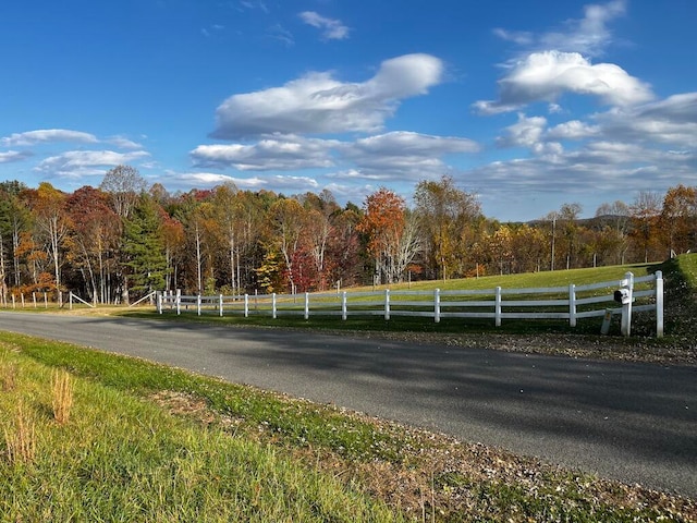 view of road with a rural view