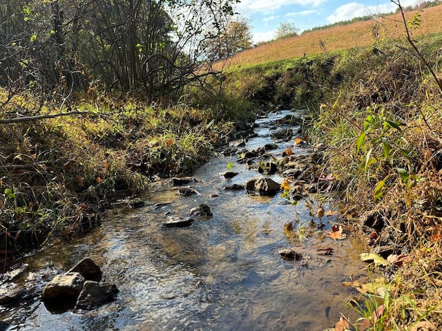 view of nature