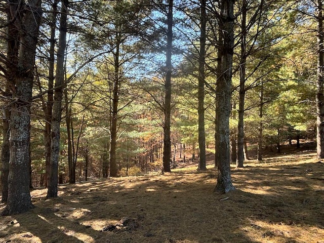 view of landscape