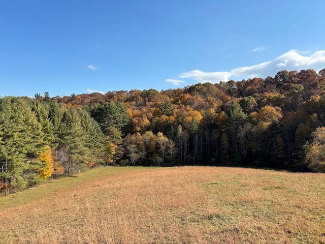 view of mountain feature