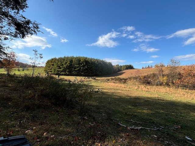 view of landscape with a rural view