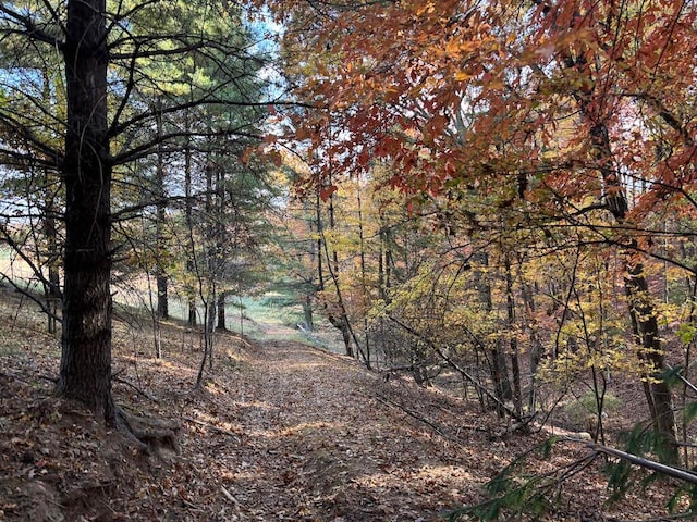 view of landscape