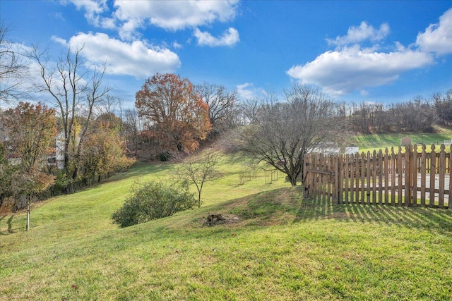 view of yard with a rural view