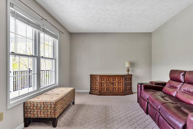 carpeted living room with a textured ceiling