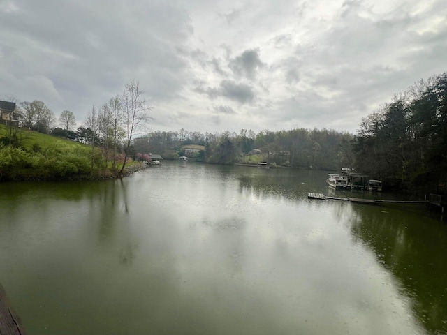 view of water feature featuring a boat dock