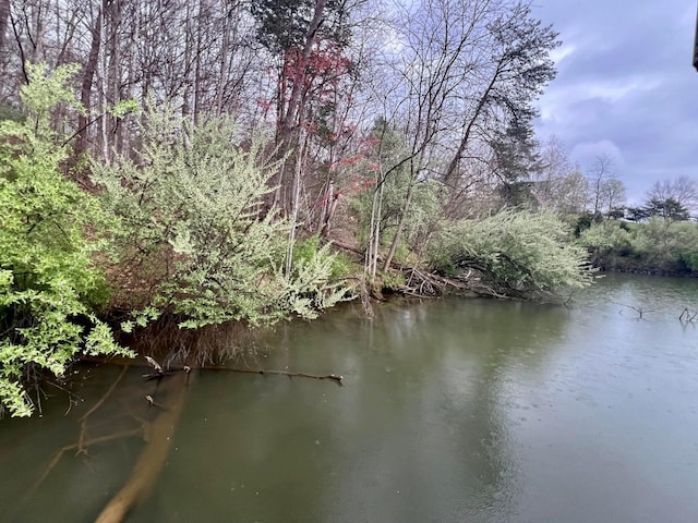 view of water feature