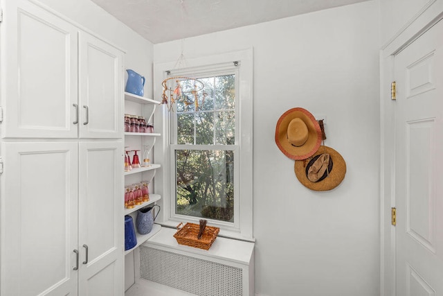 interior space featuring radiator