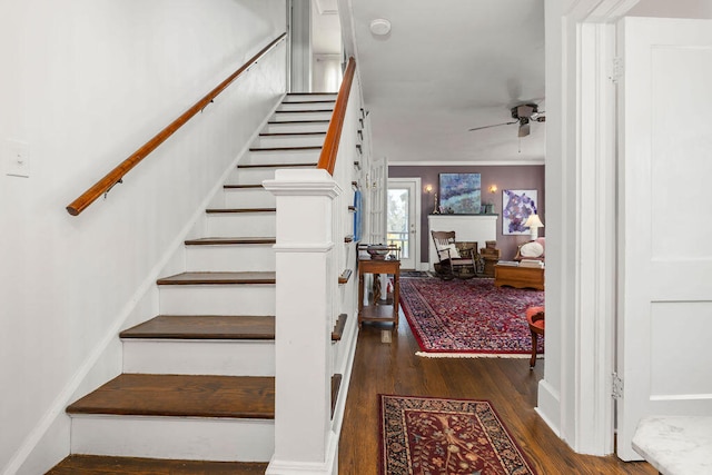 stairway with ceiling fan, wood-type flooring, and ornamental molding