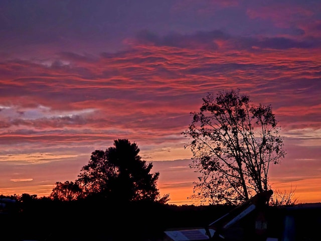 view of nature at dusk