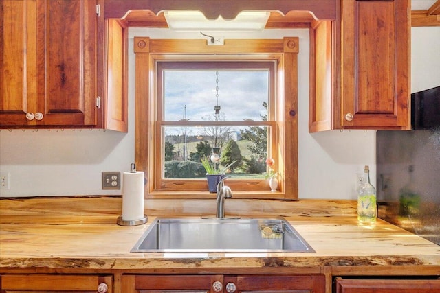 kitchen featuring butcher block countertops and sink