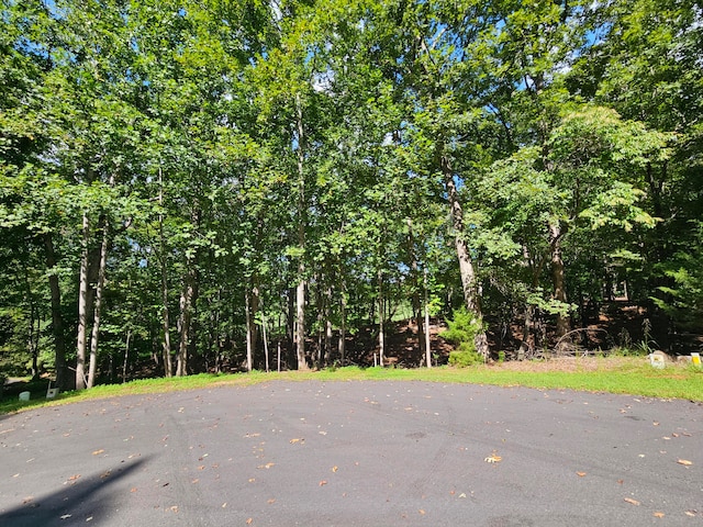 Listing photo 3 for LOT218A Hunterwood Cir, Penhook VA 24137