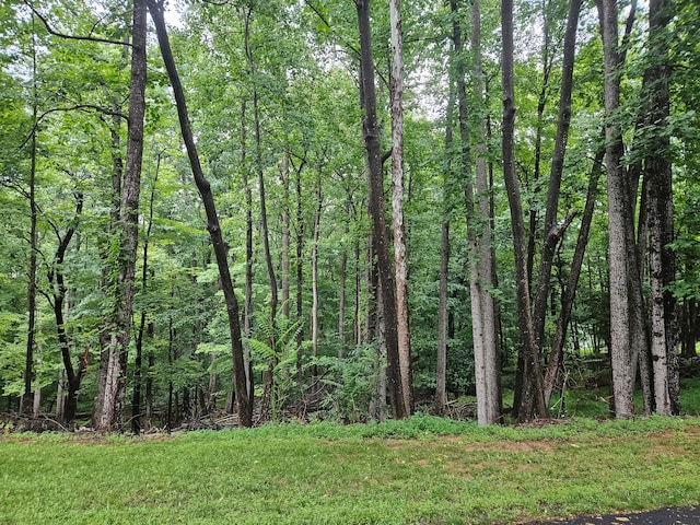 Listing photo 2 for LOT273 Niblicks Cir, Penhook VA 24137