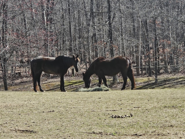 LOT273 Niblicks Cir, Penhook, VA 24137