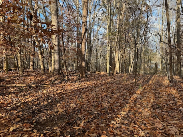 LOT29 Camelot Dr, Moneta, VA 24121