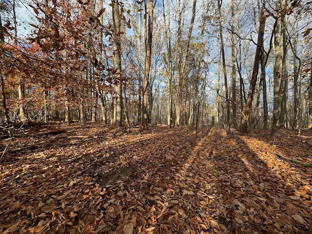 LOT29 Camelot Dr, Moneta, VA 24121