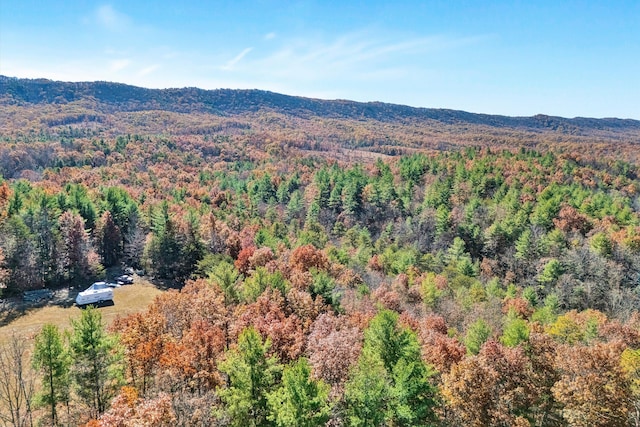 birds eye view of property featuring a mountain view