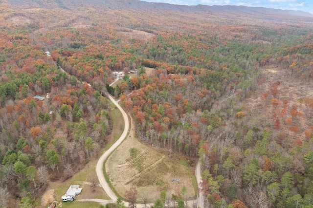 birds eye view of property featuring a mountain view