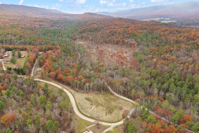 birds eye view of property featuring a mountain view