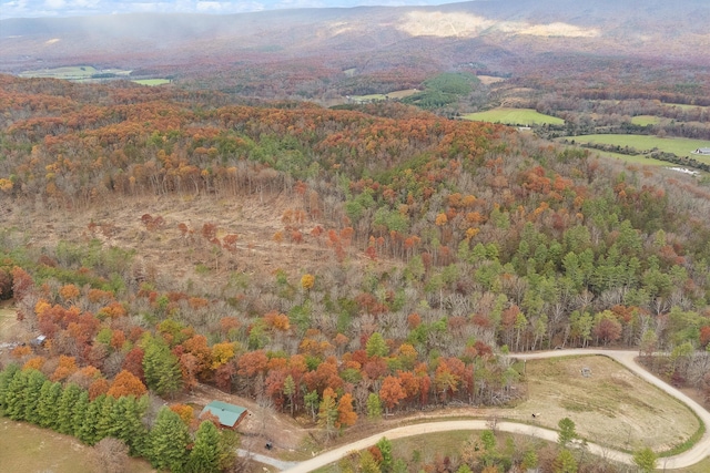 aerial view