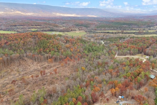 drone / aerial view featuring a mountain view