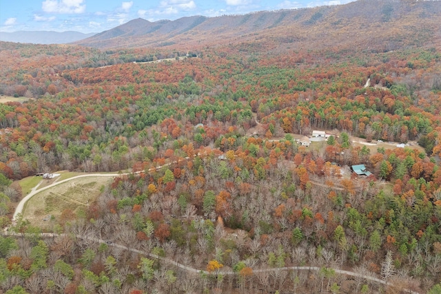 drone / aerial view with a mountain view