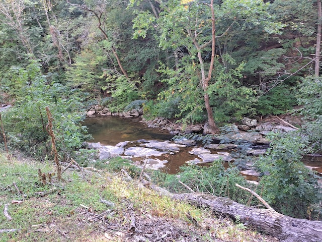 view of landscape with a wooded view