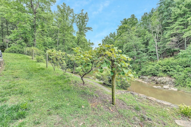 view of landscape featuring a water view