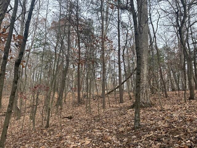 Listing photo 2 for LOT11 Stonebridge Dr, Blue Ridge VA 24064