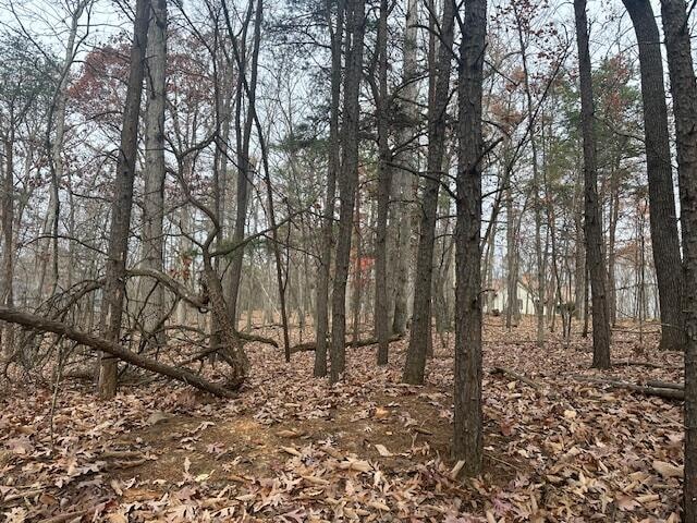 Listing photo 3 for LOT11 Stonebridge Dr, Blue Ridge VA 24064