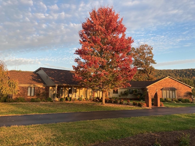 view of front facade featuring a front yard